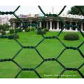 Hexagonal wire mesh